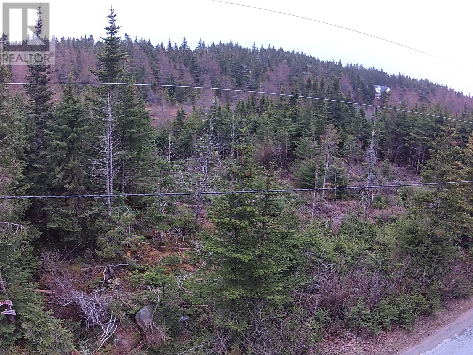 54 Ridge Road, Holyrood, Newfoundland & Labrador  A0A 2R0 - Photo 34 - 1284560