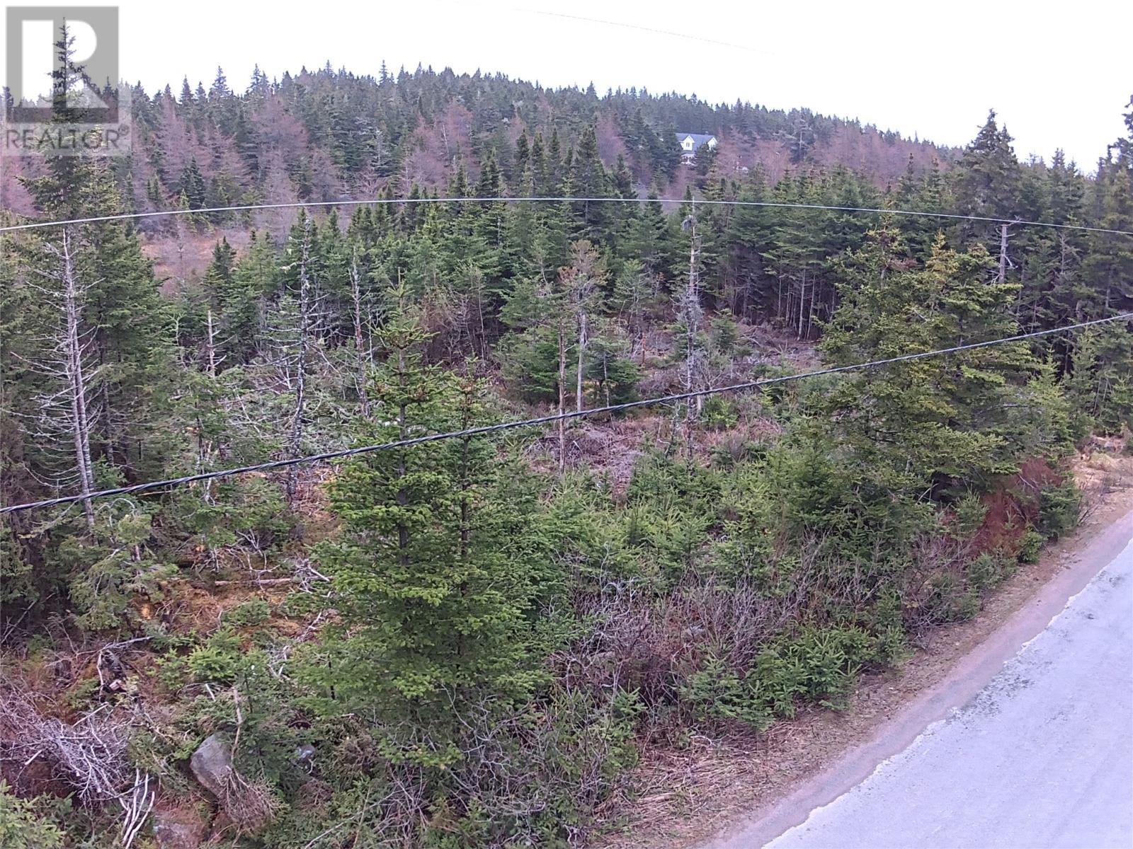 54 Ridge Road, Holyrood, Newfoundland & Labrador  A0A 2R0 - Photo 36 - 1284560