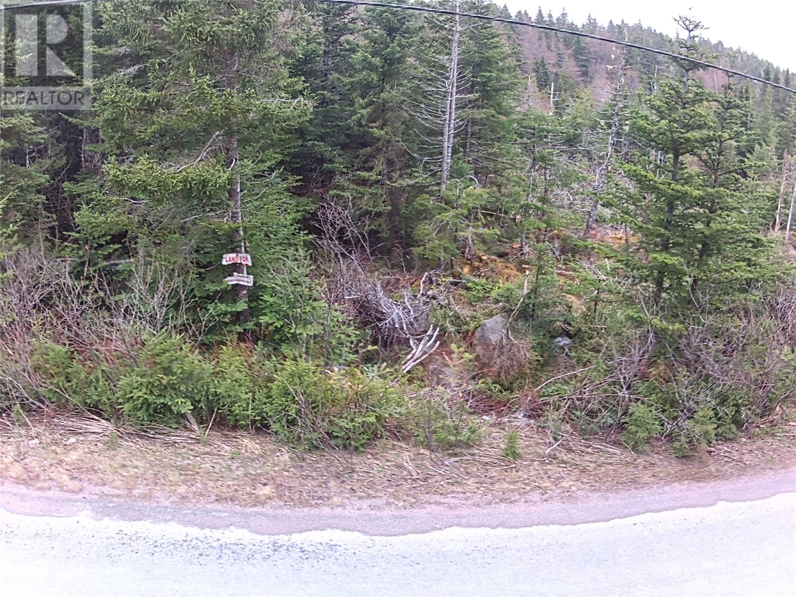 54 Ridge Road, Holyrood, Newfoundland & Labrador  A0A 2R0 - Photo 37 - 1284560