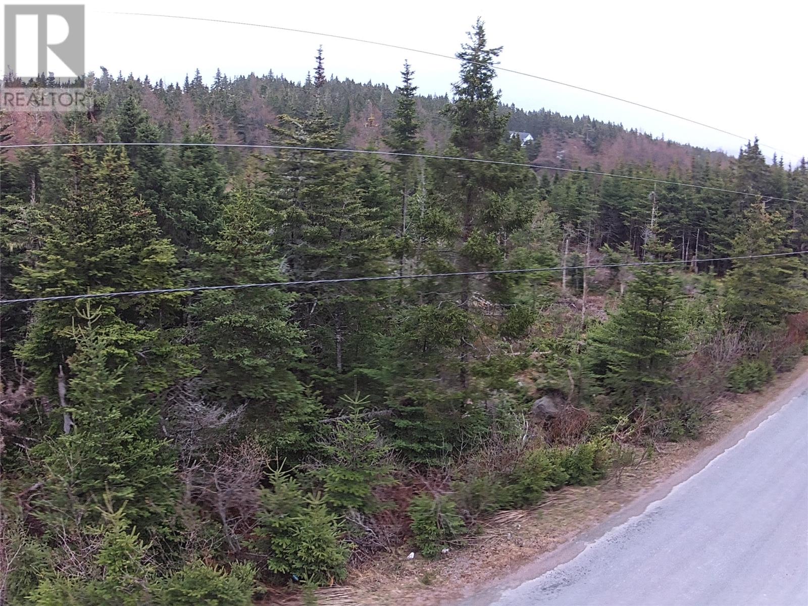 54 Ridge Road, Holyrood, Newfoundland & Labrador  A0A 2R0 - Photo 40 - 1284560