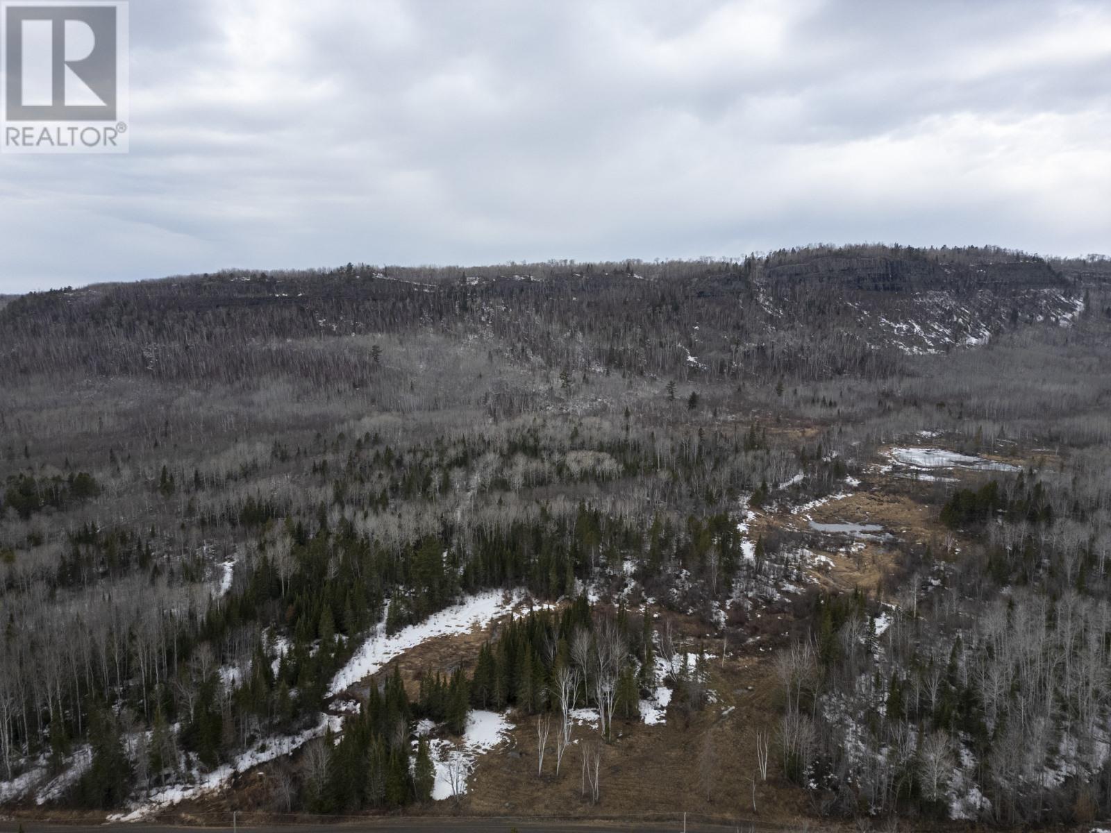 0 Milne Rd, Neebing, Ontario  P7L 0A9 - Photo 18 - TB250897