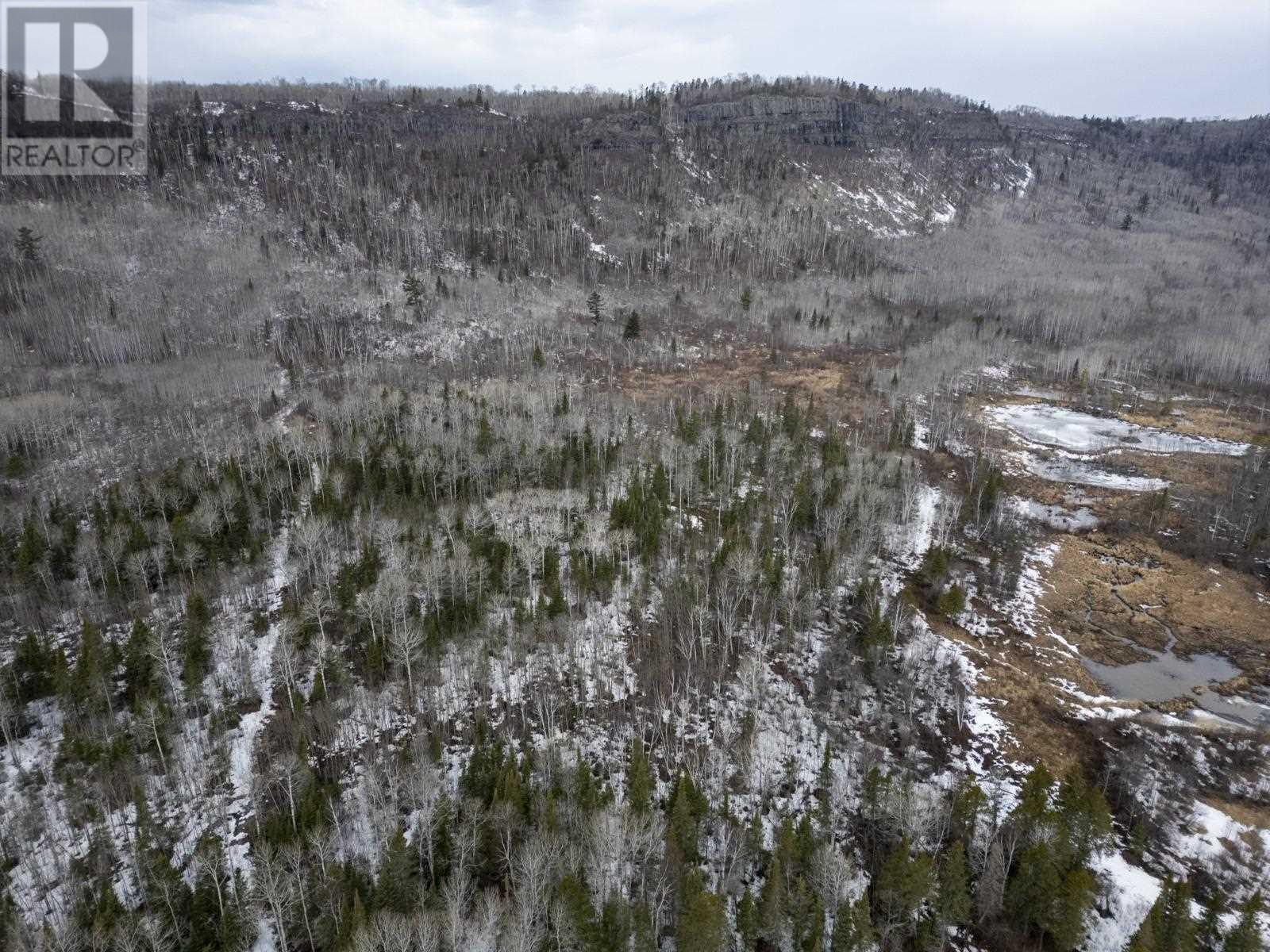 0 Milne Rd, Neebing, Ontario  P7L 0A9 - Photo 11 - TB250897