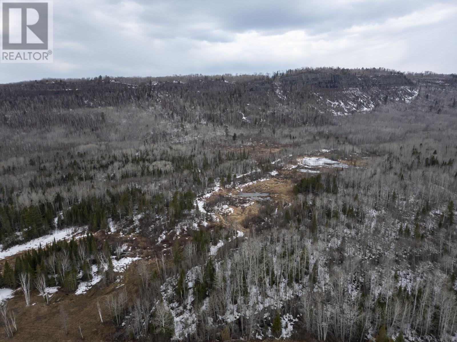 0 Milne Rd, Neebing, Ontario  P7L 0A9 - Photo 14 - TB250897