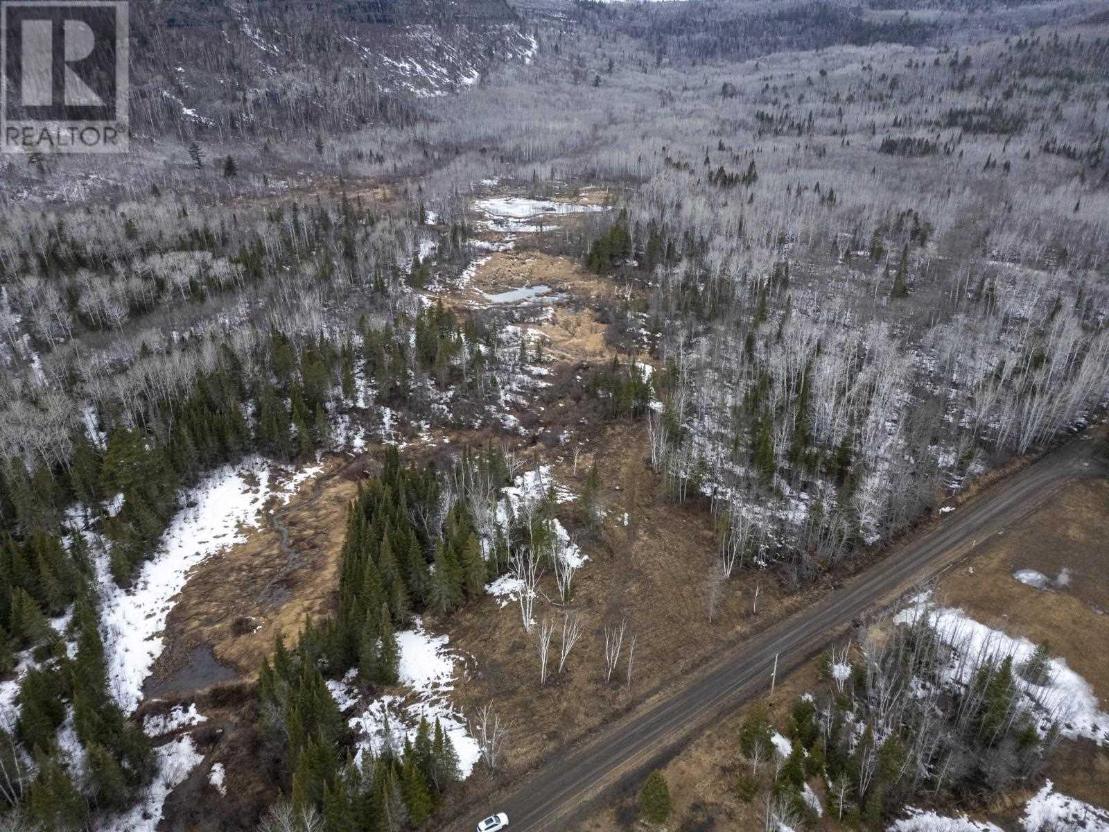 0 Milne Rd, Neebing, Ontario  P7L 0A9 - Photo 16 - TB250897