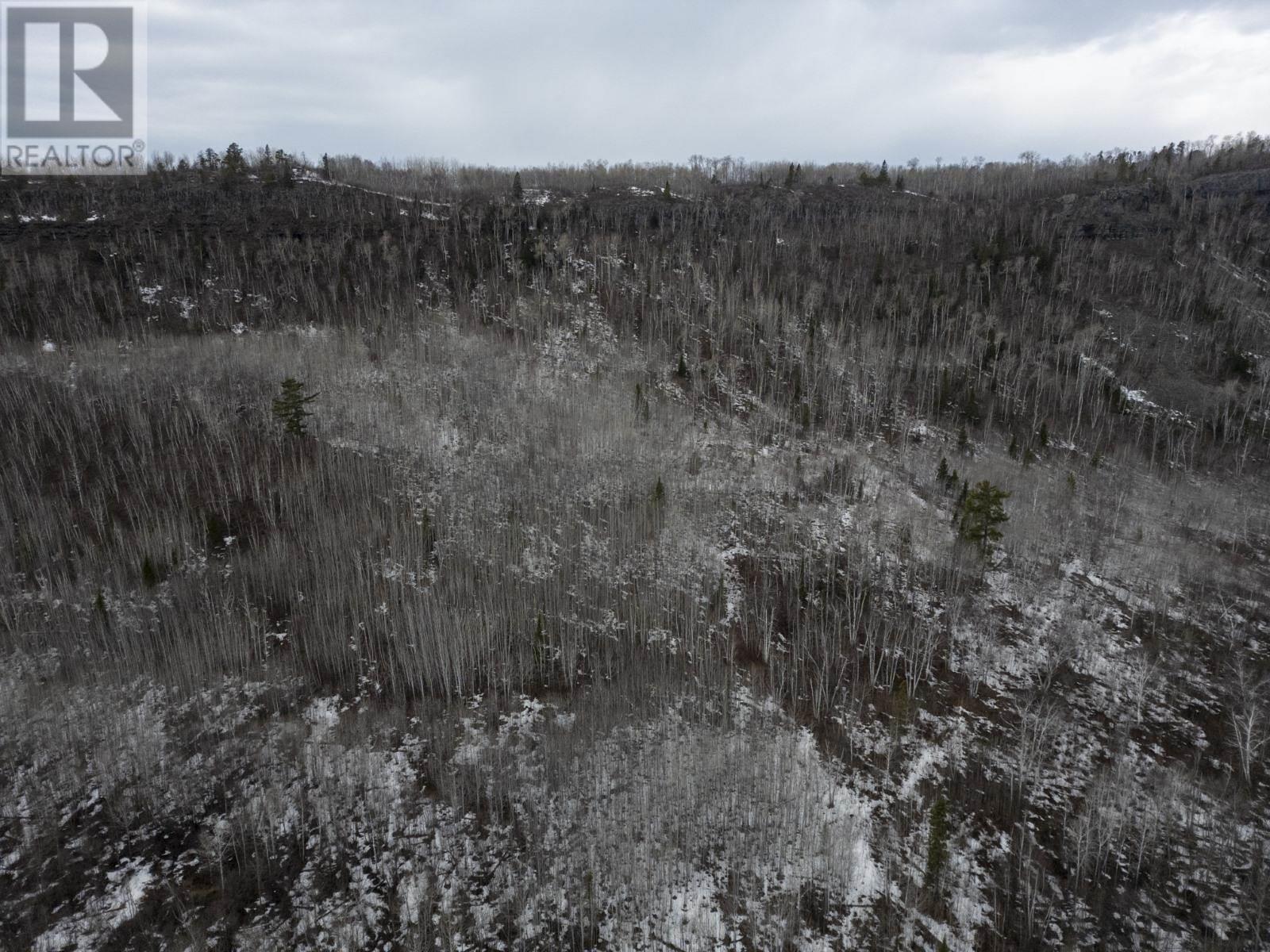 0 Milne Rd, Neebing, Ontario  P7L 0A9 - Photo 22 - TB250897