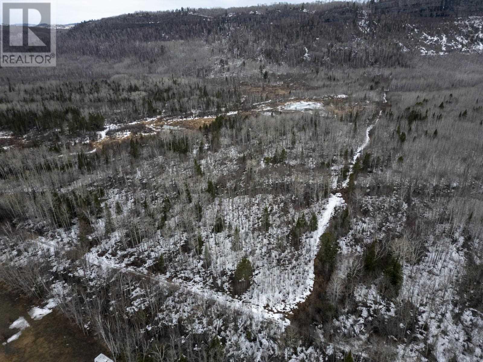 0 Milne Rd, Neebing, Ontario  P7L 0A9 - Photo 15 - TB250897