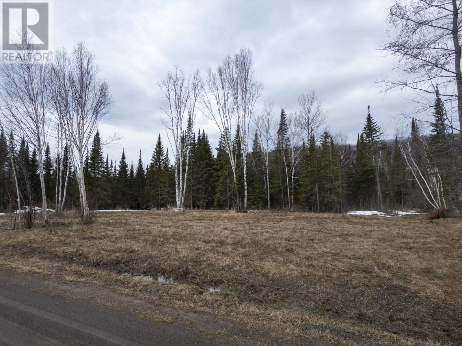 0 Milne Rd, Neebing, Ontario  P7L 0A9 - Photo 2 - TB250897