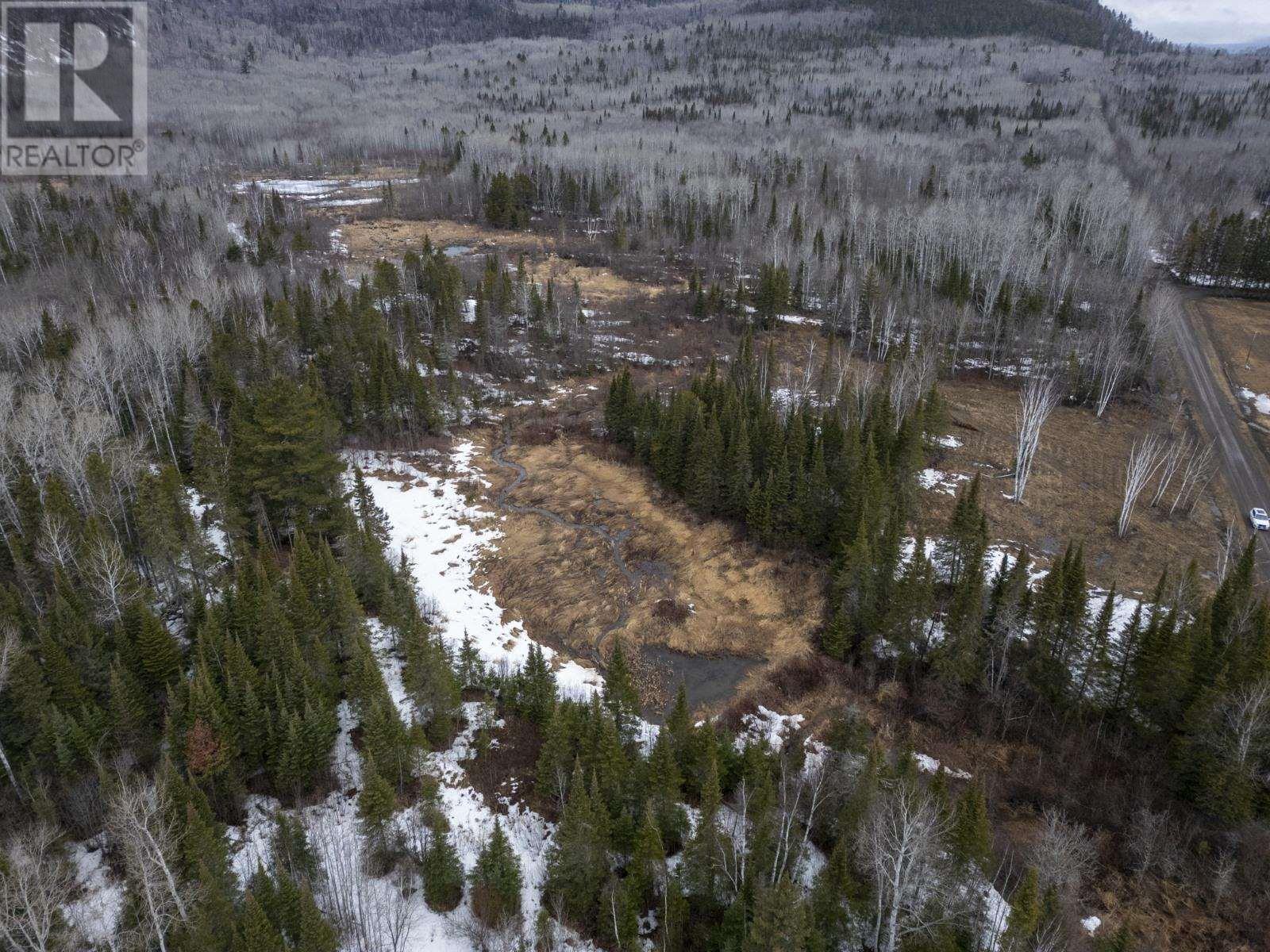 0 Milne Rd, Neebing, Ontario  P7L 0A9 - Photo 10 - TB250897