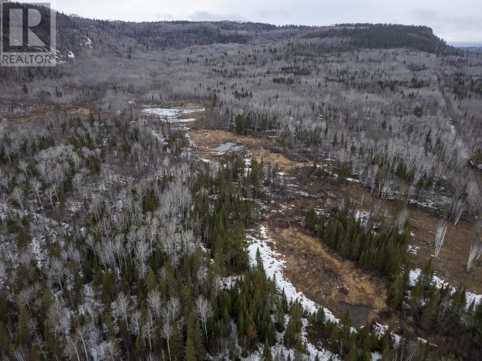 0 Milne Rd, Neebing, Ontario  P7L 0A9 - Photo 20 - TB250897