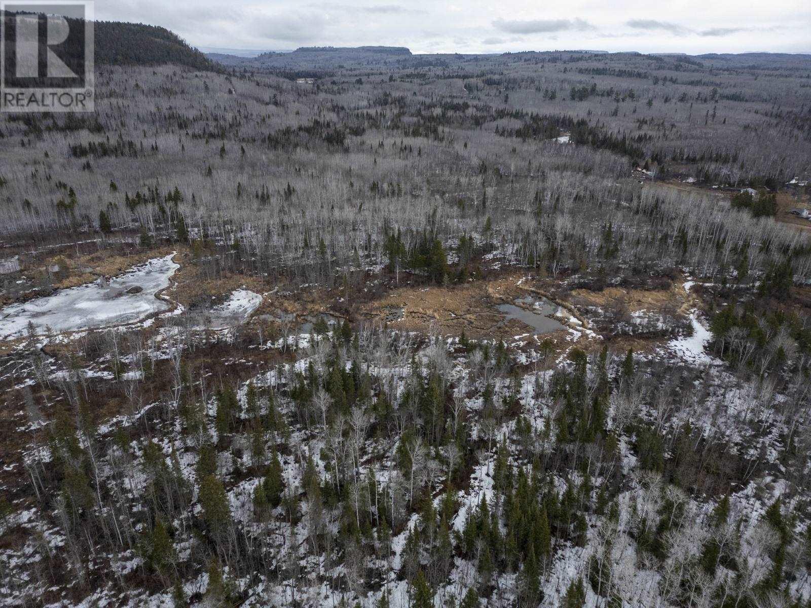 0 Milne Rd, Neebing, Ontario  P7L 0A9 - Photo 24 - TB250897