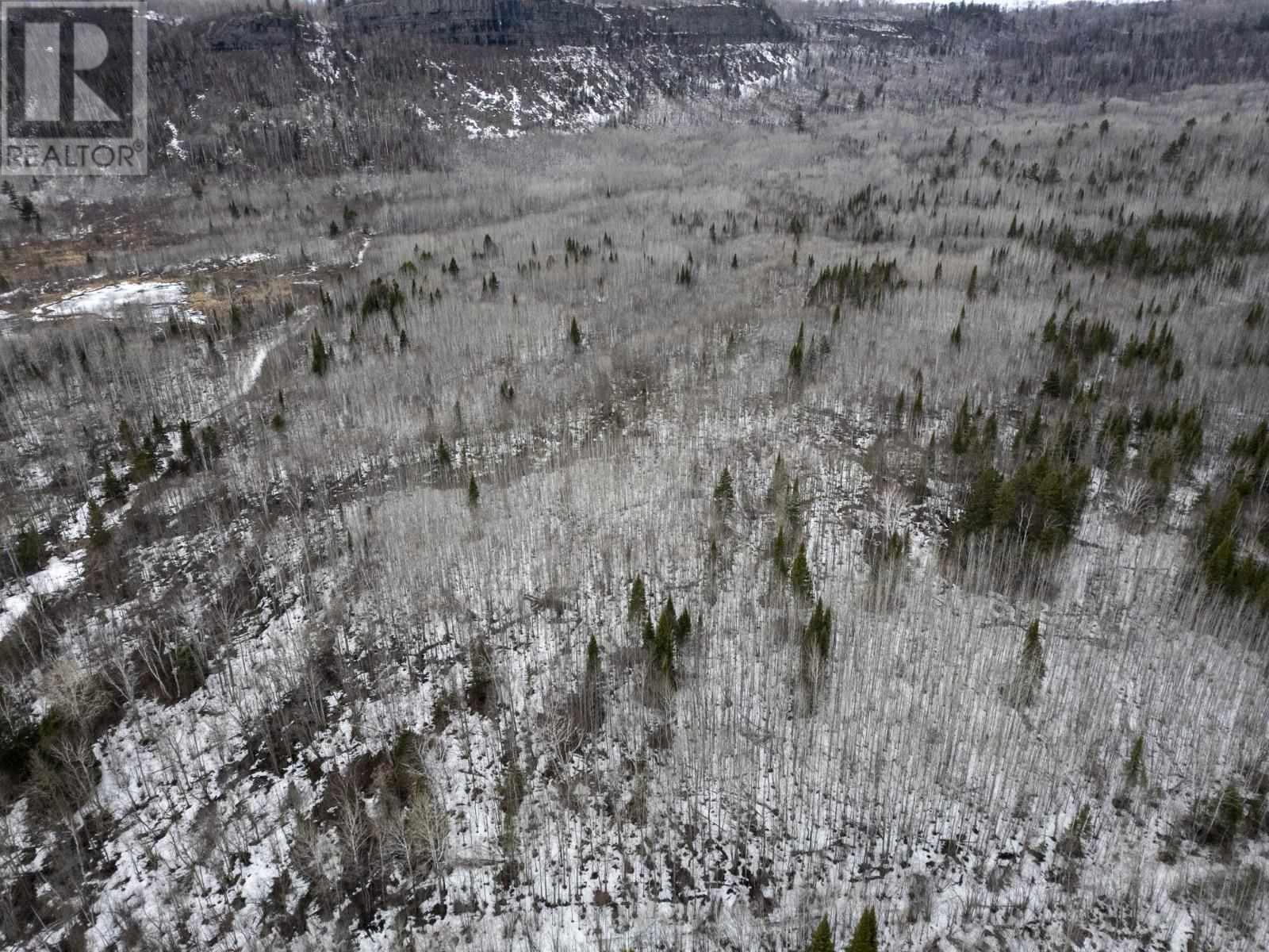 0 Milne Rd, Neebing, Ontario  P7L 0A9 - Photo 29 - TB250897