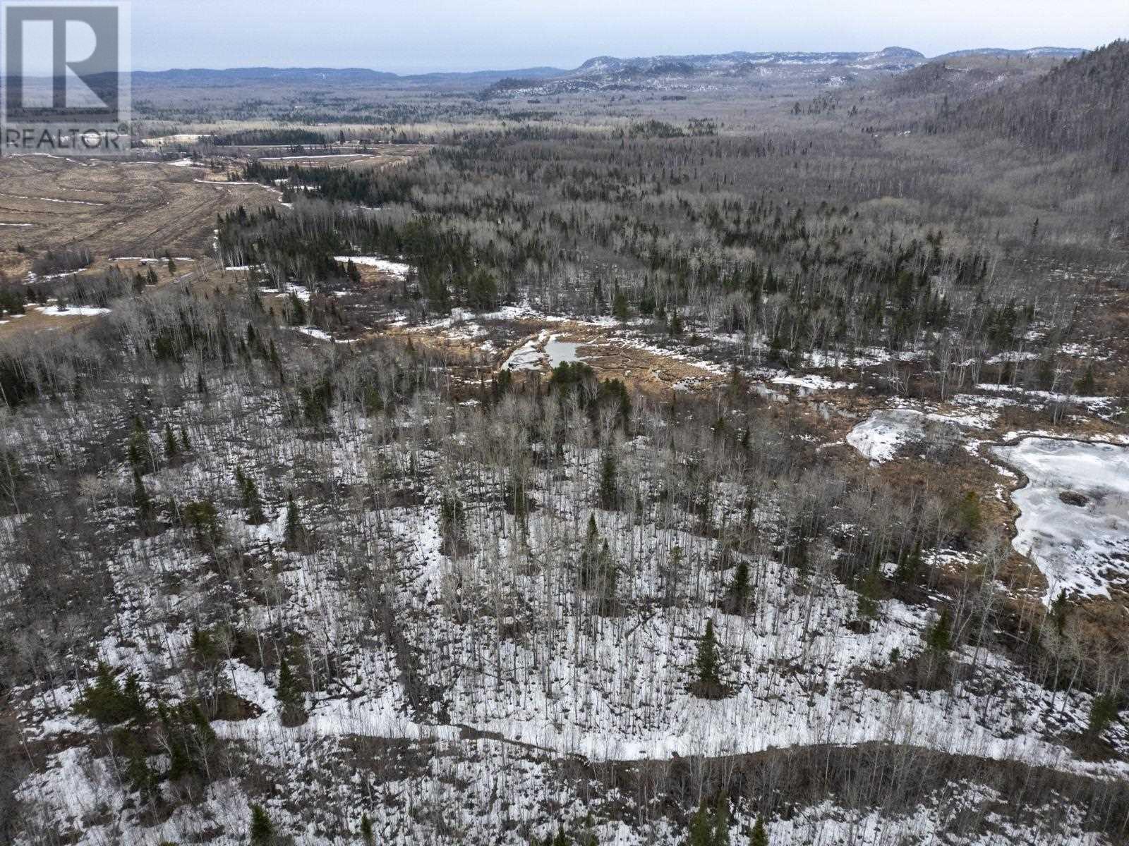 0 Milne Rd, Neebing, Ontario  P7L 0A9 - Photo 27 - TB250897