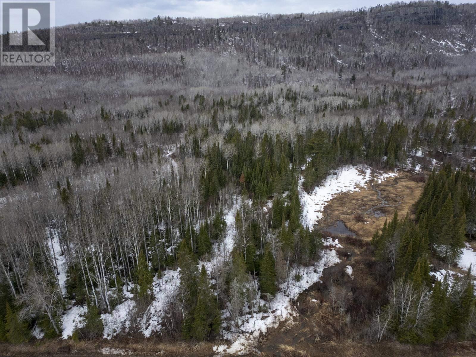 0 Milne Rd, Neebing, Ontario  P7L 0A9 - Photo 8 - TB250897