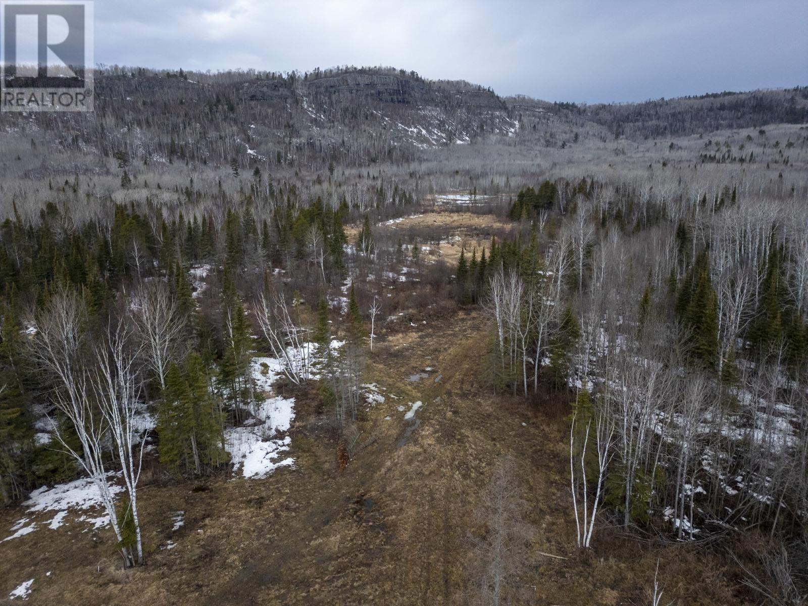 0 Milne Rd, Neebing, Ontario  P7L 0A9 - Photo 5 - TB250897