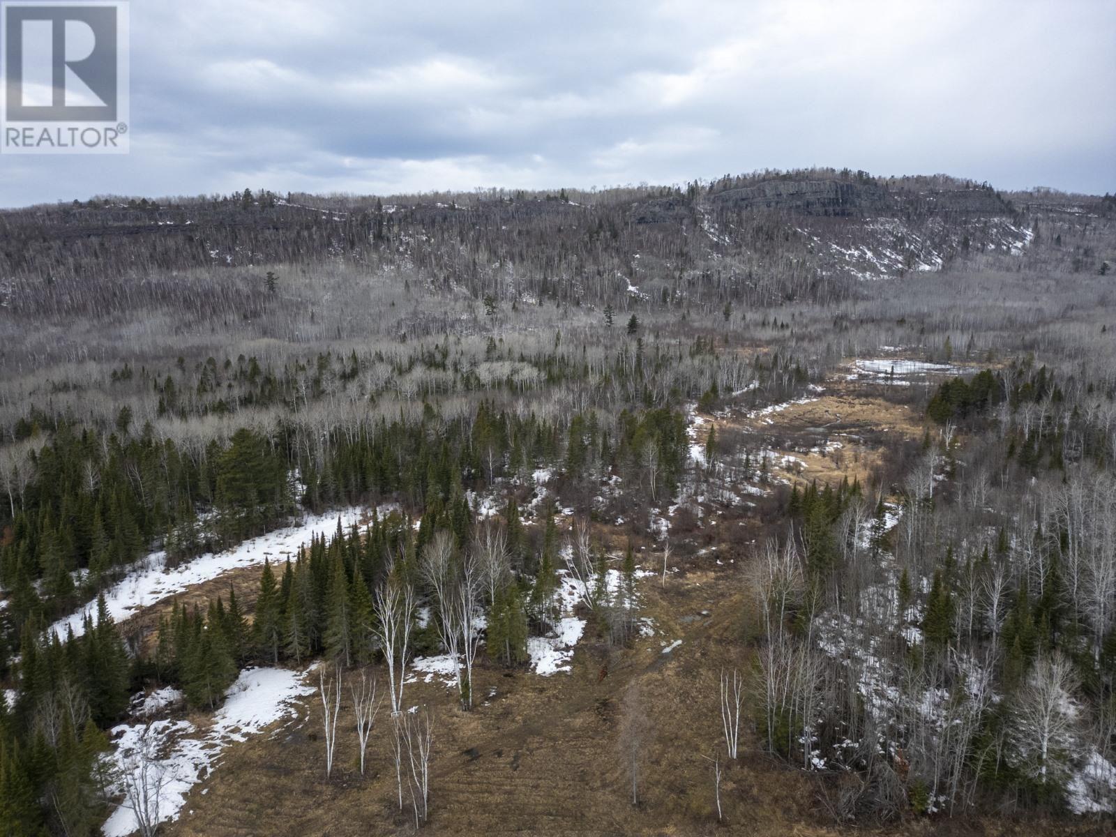 0 Milne Rd, Neebing, Ontario  P7L 0A9 - Photo 7 - TB250897