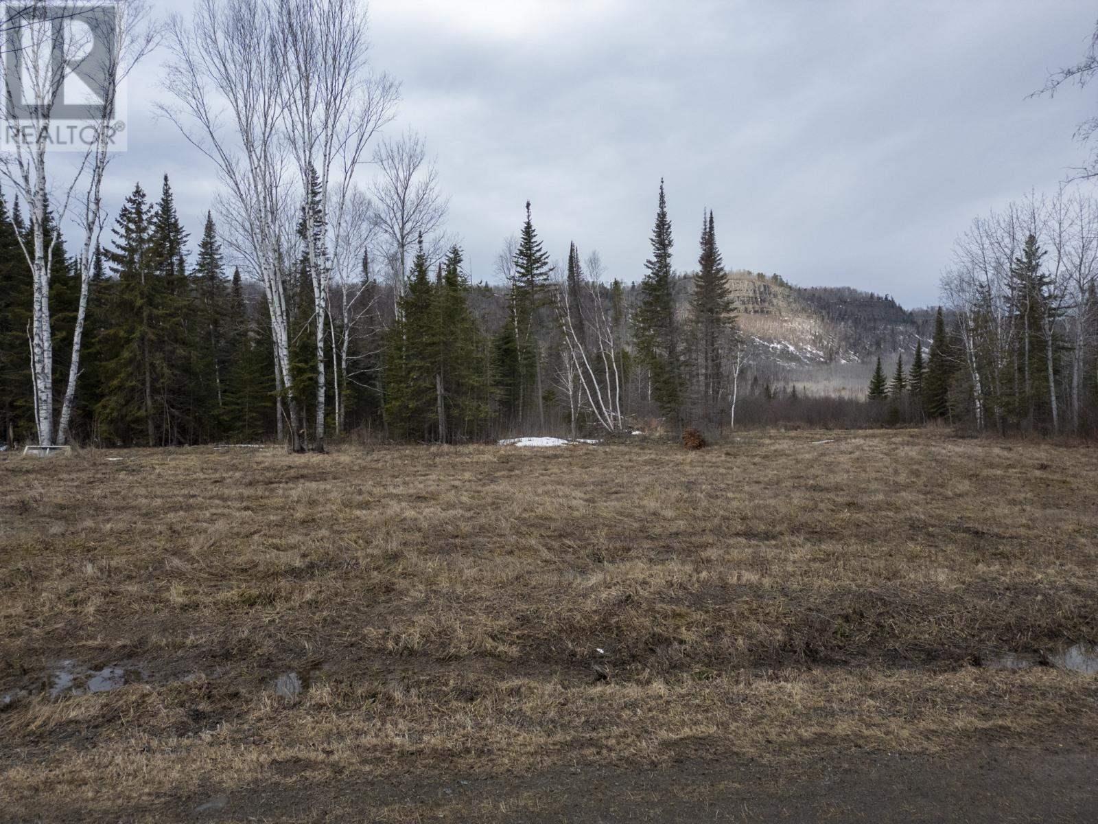 0 Milne Rd, Neebing, Ontario  P7L 0A9 - Photo 3 - TB250897