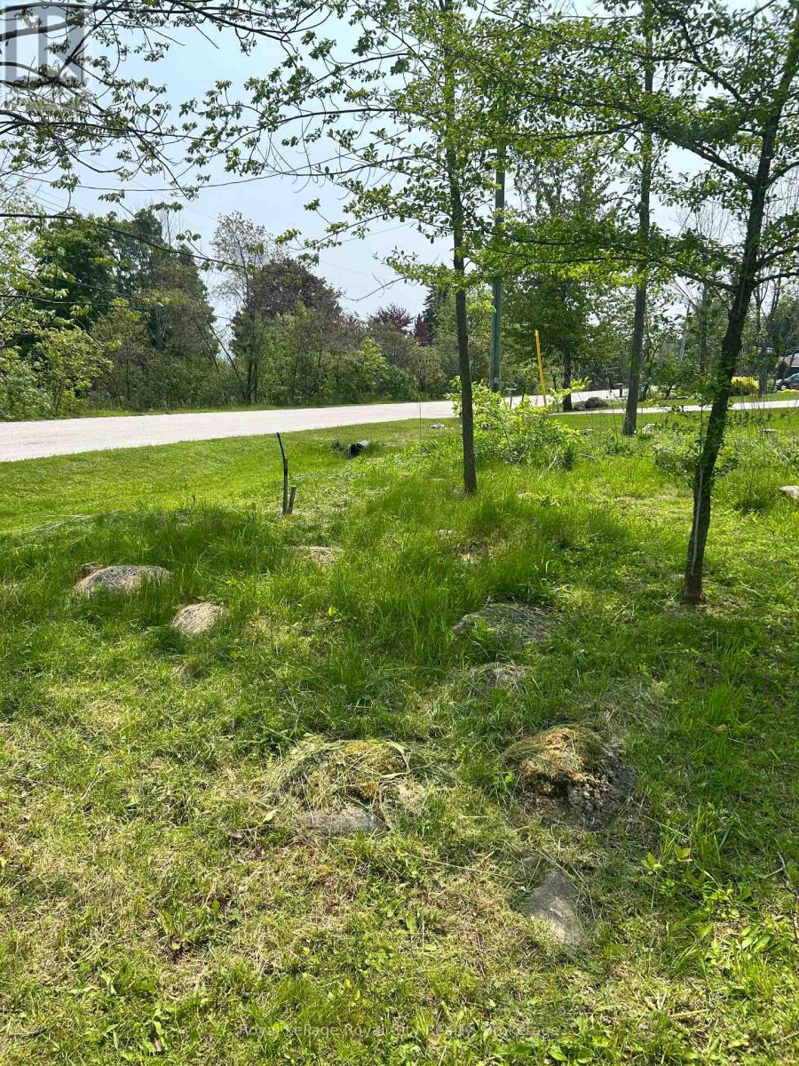 Pt Lt 37 Con 3 Macintosh Drive, Georgian Bluffs, Ontario  N0H 1S0 - Photo 13 - X13054004