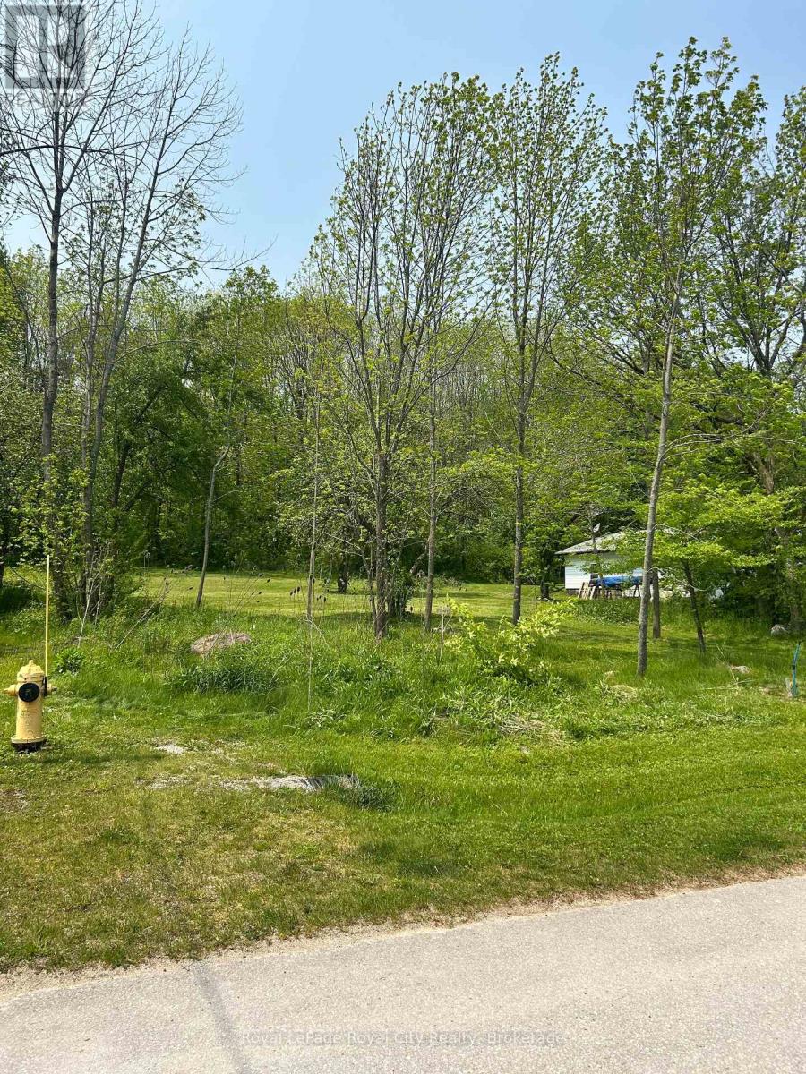 Pt Lt 37 Con 3 Macintosh Drive, Georgian Bluffs, Ontario  N0H 1S0 - Photo 14 - X13054004