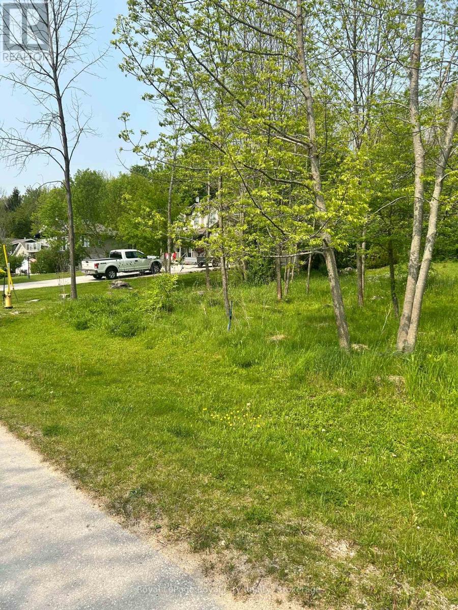 Pt Lt 37 Con 3 Macintosh Drive, Georgian Bluffs, Ontario  N0H 1S0 - Photo 15 - X13054004