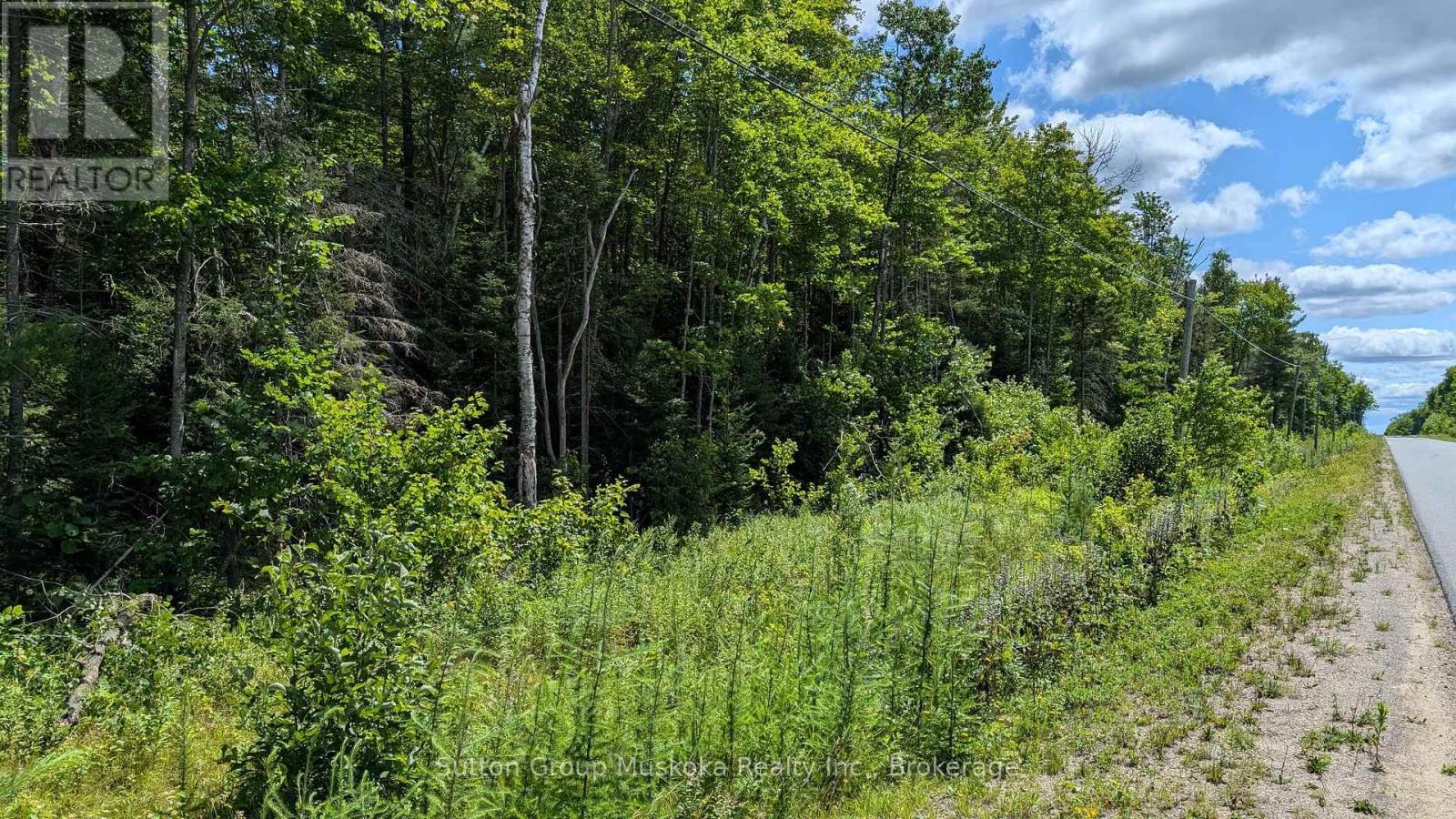 Part 2 Berriedale Road, Armour, Ontario  P0A 1C0 - Photo 3 - X13054012