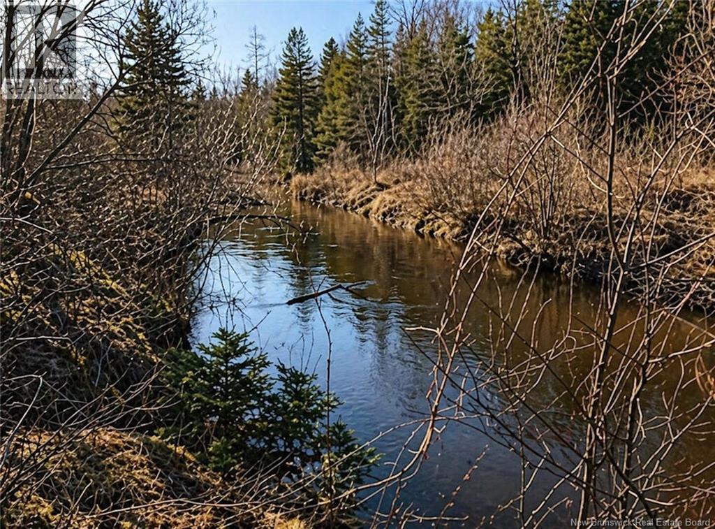 Lot 3 Gamble Road, South Branch, New Brunswick  E4W 3L9 - Photo 4 - NB138150