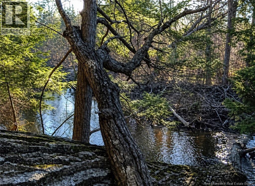 Lot 3 Gamble Road, South Branch, New Brunswick  E4W 3L9 - Photo 5 - NB138150