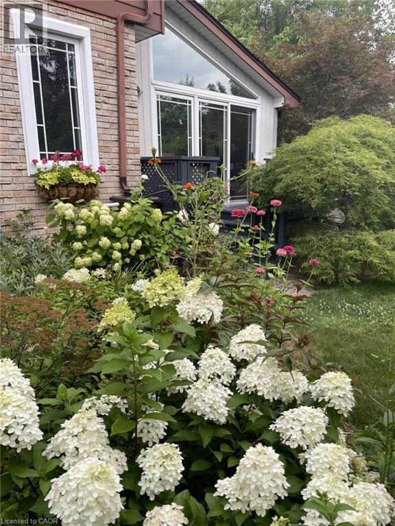 18 Ripley Crescent, Kitchener, Ontario  N2N 1V4 - Photo 46 - 40823600