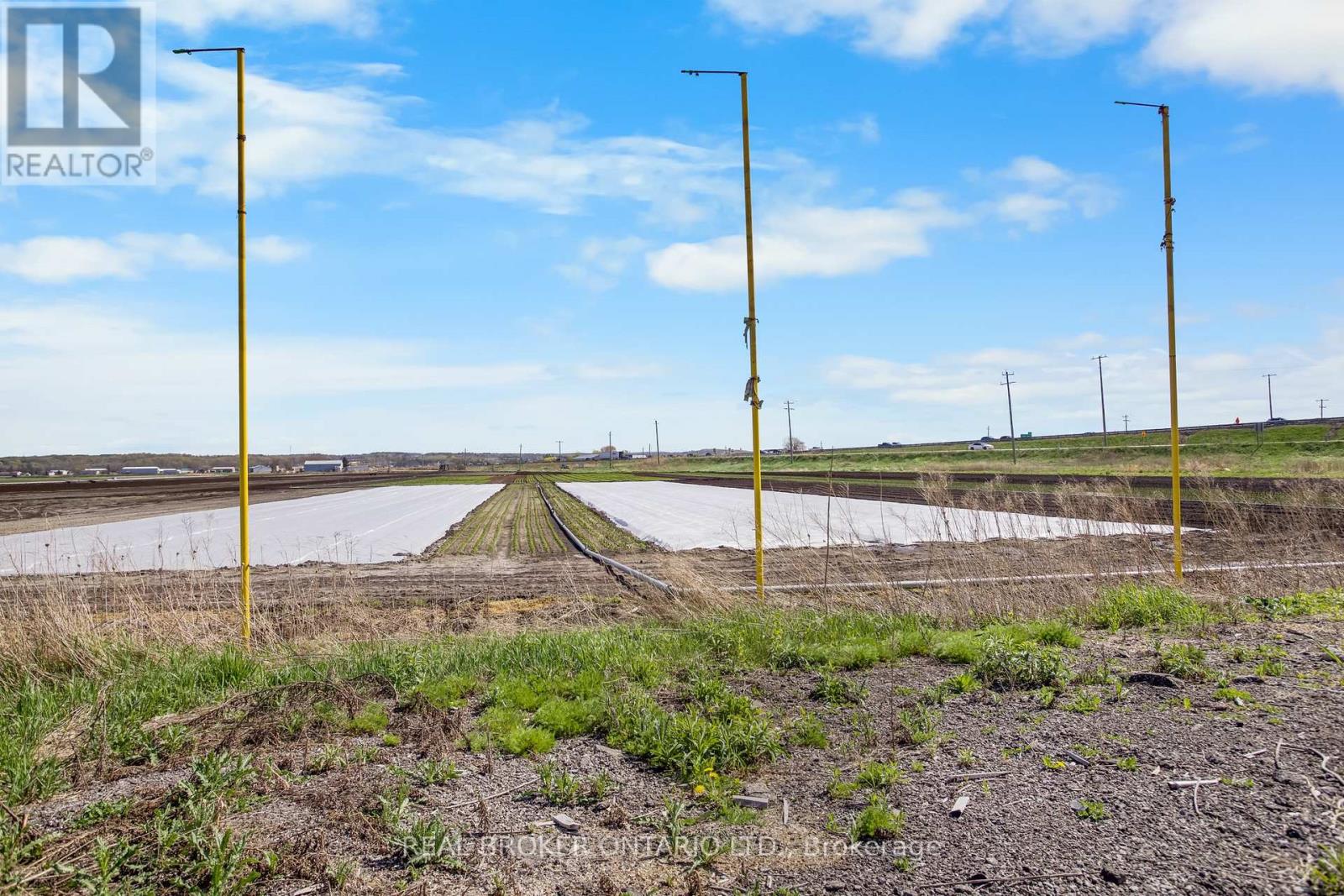 Barn - 1153 Canal Road, Bradford West Gwillimbury (Bradford), Ontario  L3Z 4E2 - Photo 11 - N13054014