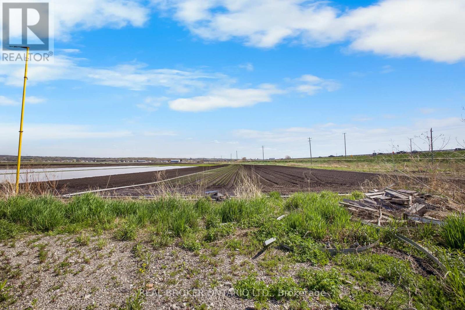 Barn - 1153 Canal Road, Bradford West Gwillimbury (Bradford), Ontario  L3Z 4E2 - Photo 7 - N13054014