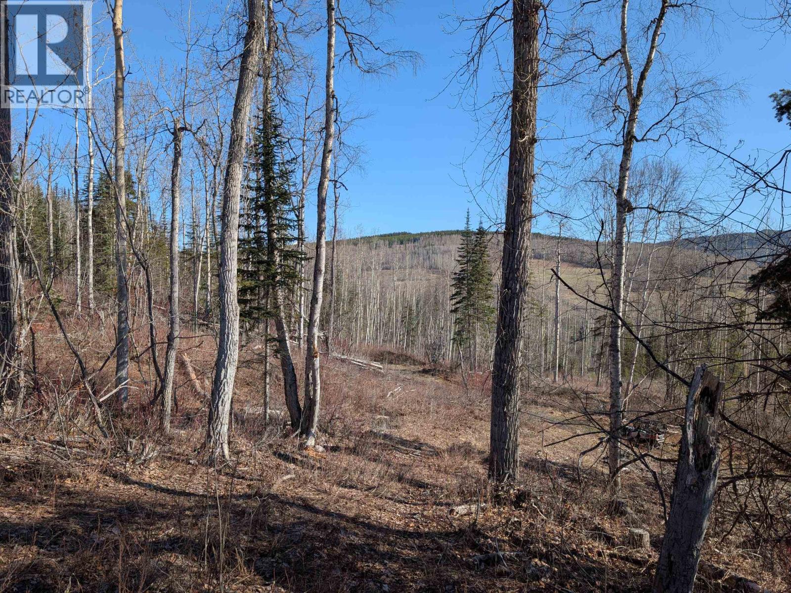 Lot B Telkwa High Road, Smithers, British Columbia  V0J 2N7 - Photo 7 - R3116735