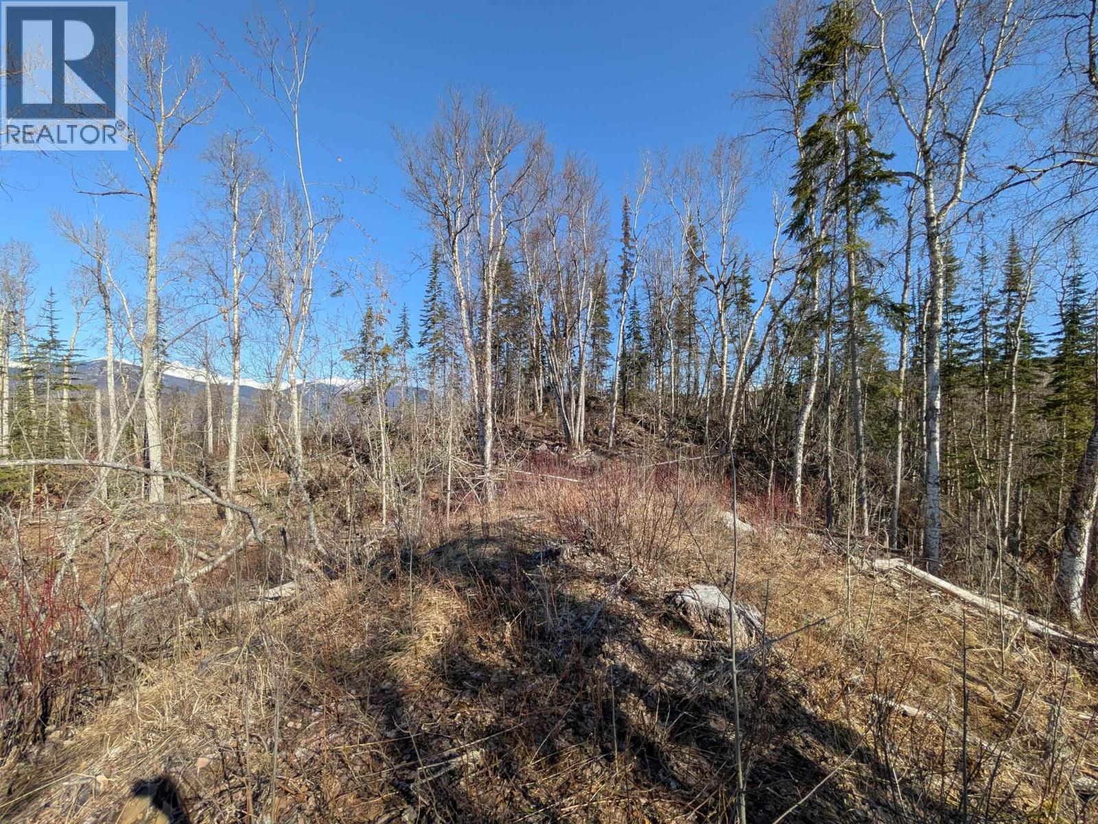 Lot B Telkwa High Road, Smithers, British Columbia  V0J 2N7 - Photo 9 - R3116735