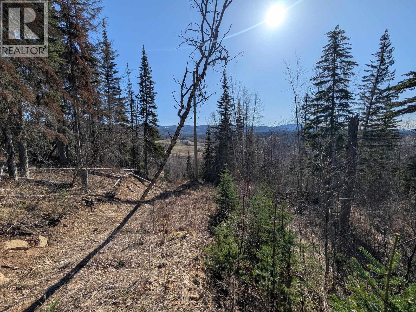 Lot B Telkwa High Road, Smithers, British Columbia  V0J 2N7 - Photo 11 - R3116735
