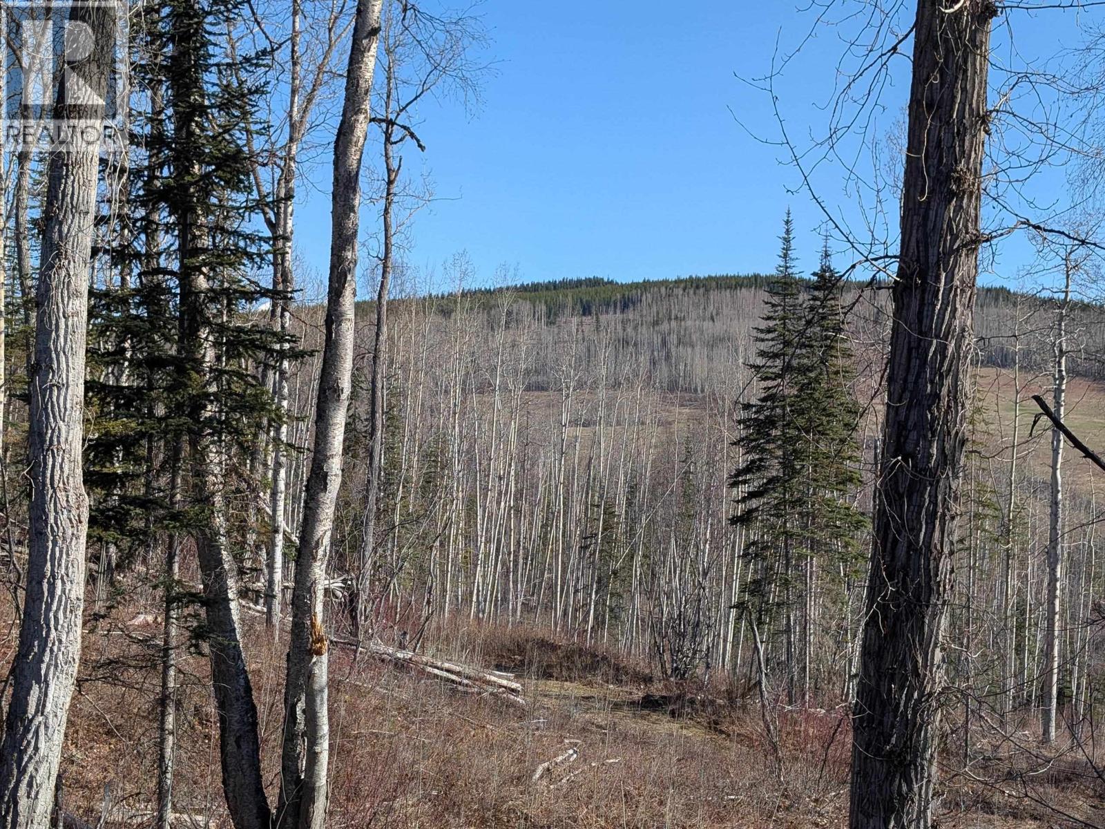 Lot B Telkwa High Road, Smithers, British Columbia  V0J 2N7 - Photo 8 - R3116735