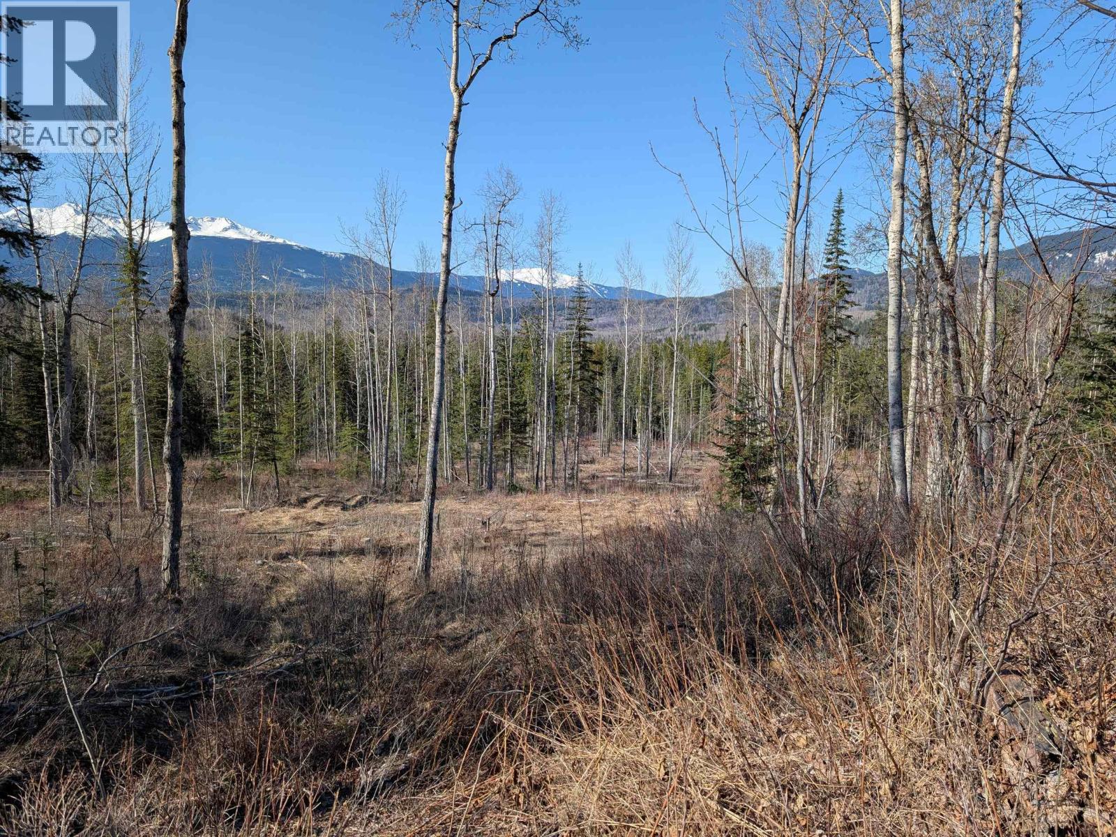 Lot B Telkwa High Road, Smithers, British Columbia  V0J 2N7 - Photo 13 - R3116735
