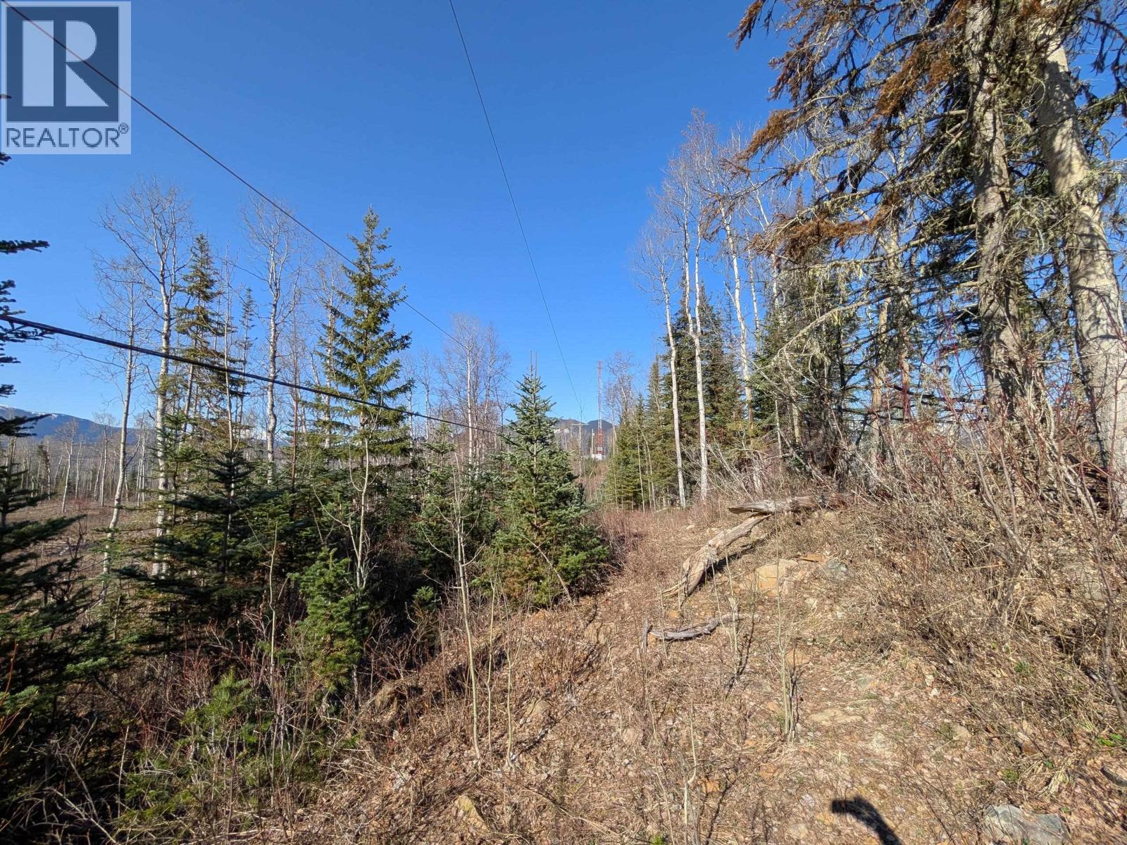 Lot B Telkwa High Road, Smithers, British Columbia  V0J 2N7 - Photo 10 - R3116735