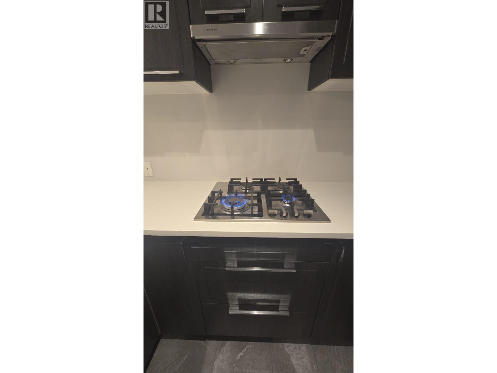 107 6677 Cambie Street, Vancouver, British Columbia  V6P 3H1 - Photo 6 - R3105079