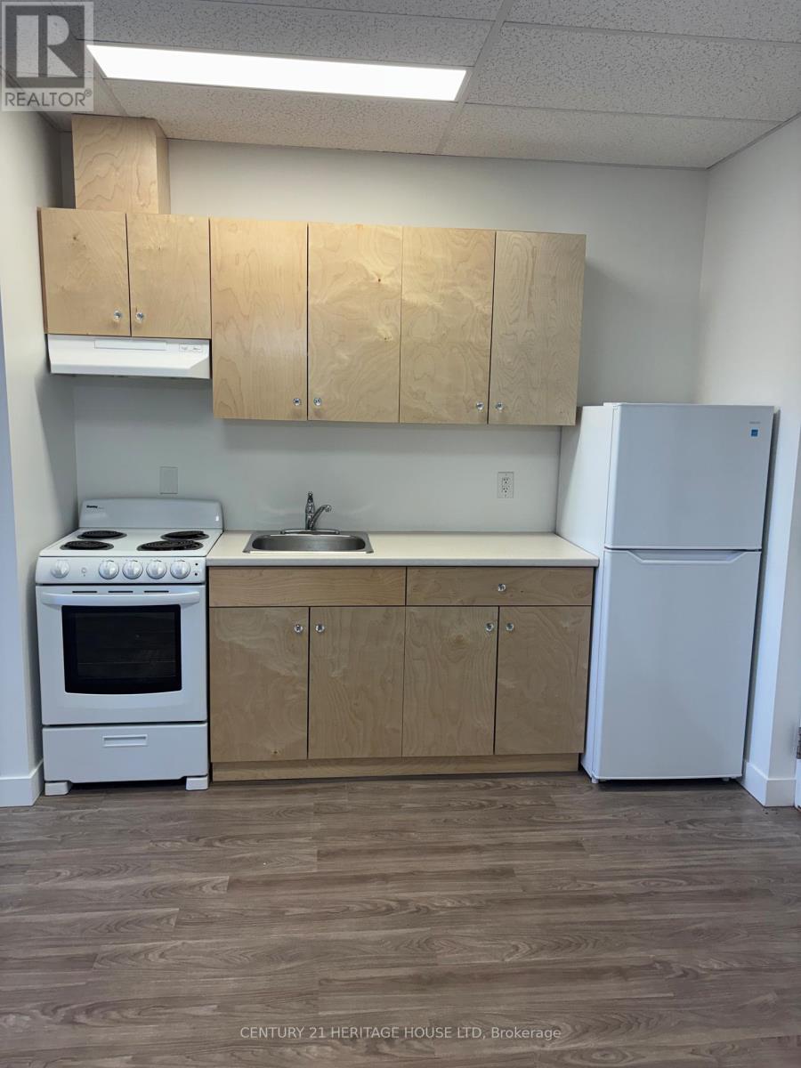 212 - 50 Scott Street, St. Thomas, Ontario  N5P 1K6 - Photo 3 - X13054252