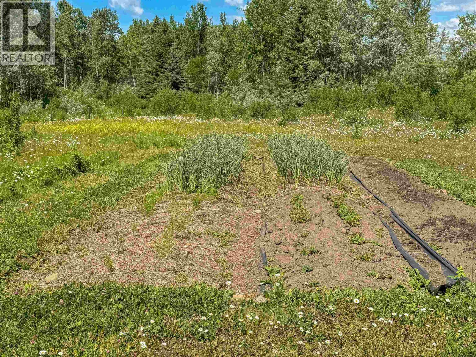 17764 E Quick Road, Telkwa, British Columbia  V0J 2X2 - Photo 29 - R3116828