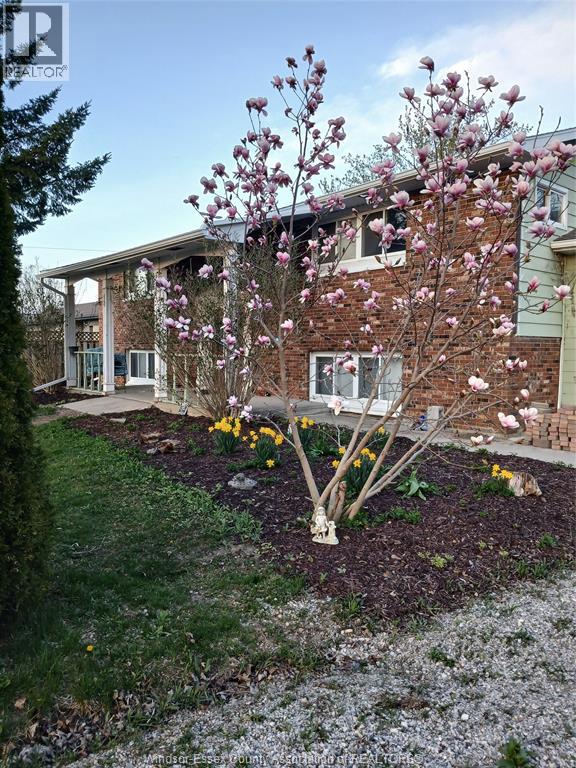 8 STORY STREET, Blenheim, Ontario