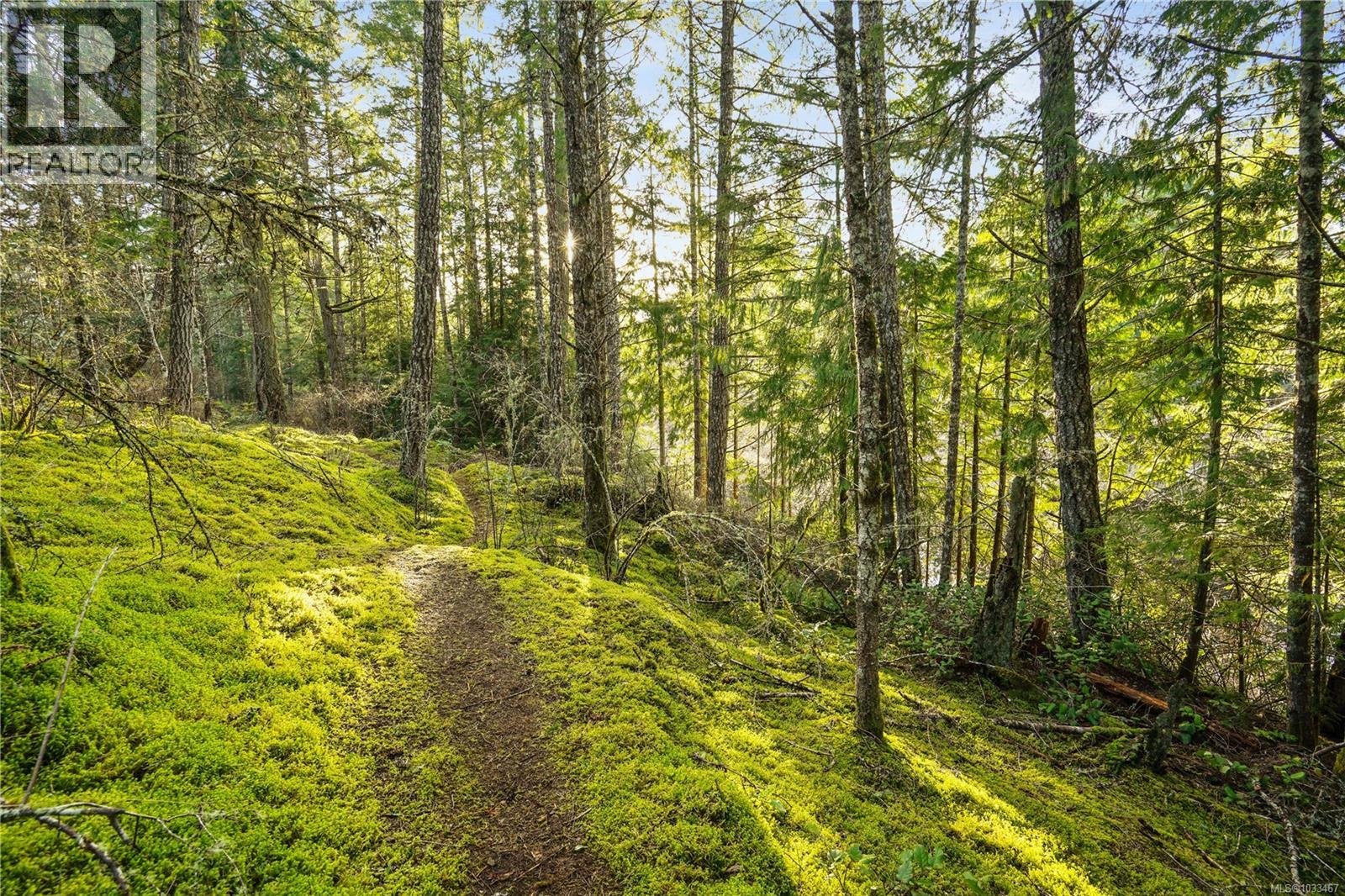 3383 Lakeridge Pl, Highlands, British Columbia  V9E 1C8 - Photo 64 - 1033467