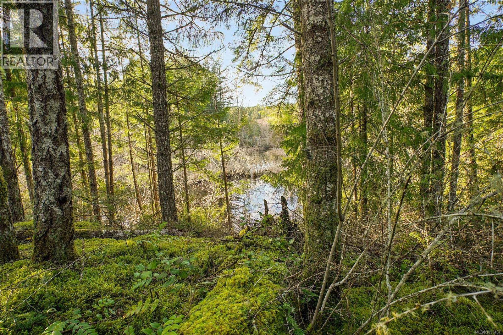 3383 Lakeridge Pl, Highlands, British Columbia  V9E 1C8 - Photo 63 - 1033467