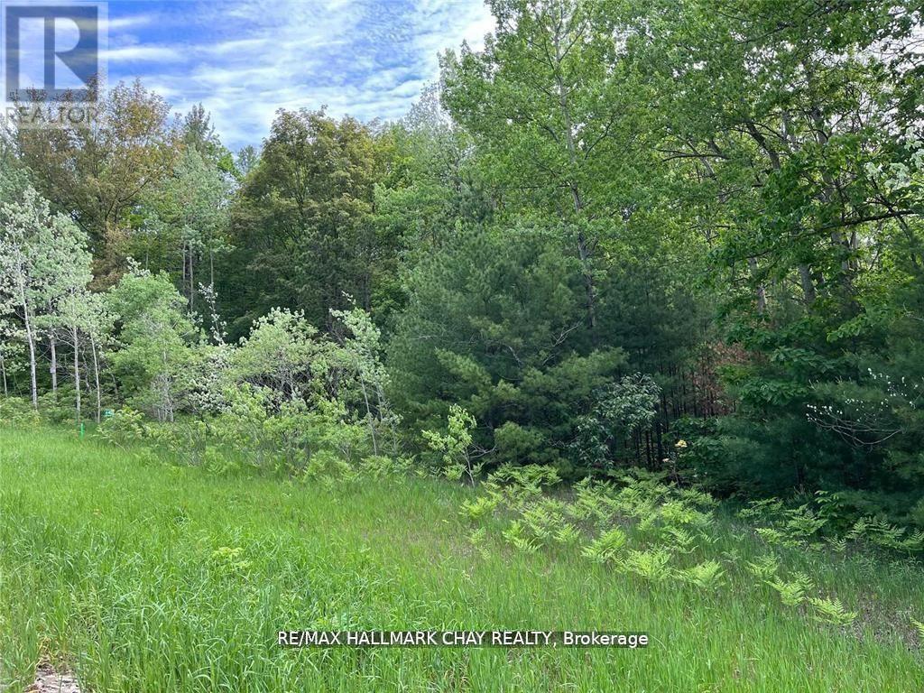 6411 Concession 4 Road, Adjala-Tosorontio, Ontario  L0M 1J0 - Photo 5 - N13054118