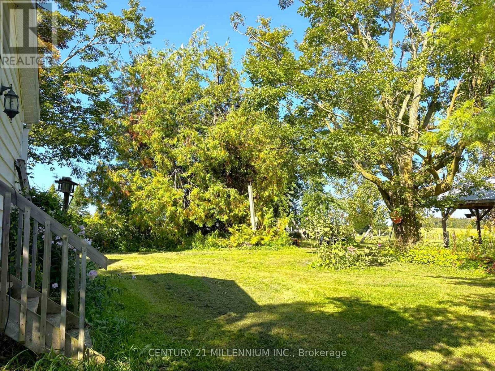 598323 2nd Line W, Mulmur, Ontario  L9V 0B6 - Photo 35 - X13054066