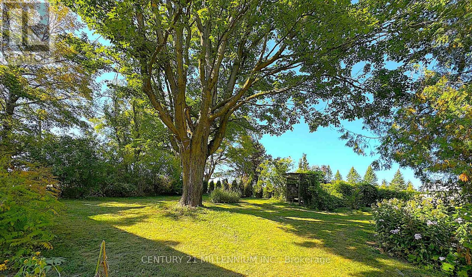 598323 2nd Line W, Mulmur, Ontario  L9V 0B6 - Photo 6 - X13054066