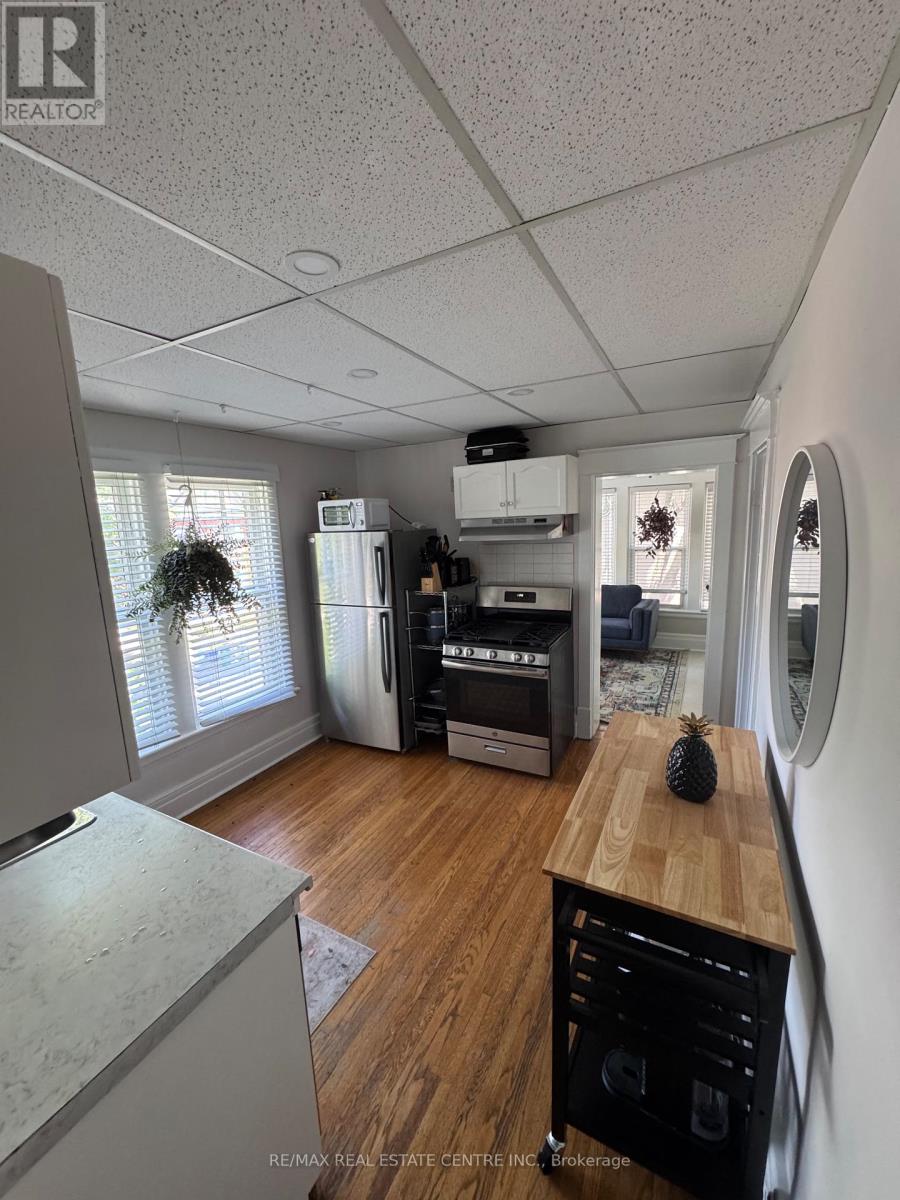 120 Herkimer Street, Hamilton, Ontario  L8P 2G7 - Photo 10 - X13054200