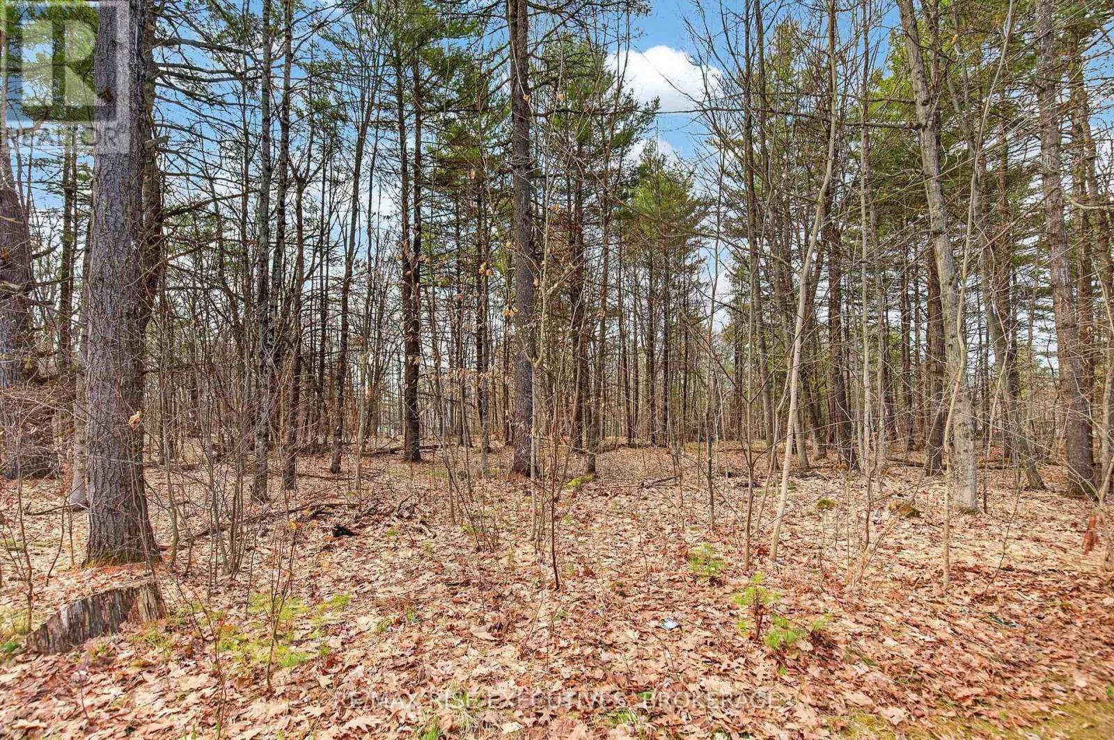 16 Rankin Road, Rideau Lakes, Ontario  K0G 1E0 - Photo 18 - X13054450