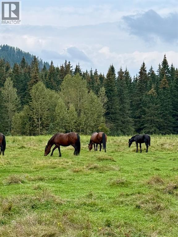271165 Range Road 60, Rural Rocky View County, Alberta  T0L 0W0 - Photo 44 - A2305614