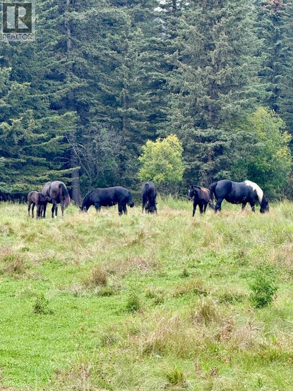 271165 Range Road 60, Rural Rocky View County, Alberta  T0L 0W0 - Photo 45 - A2305614