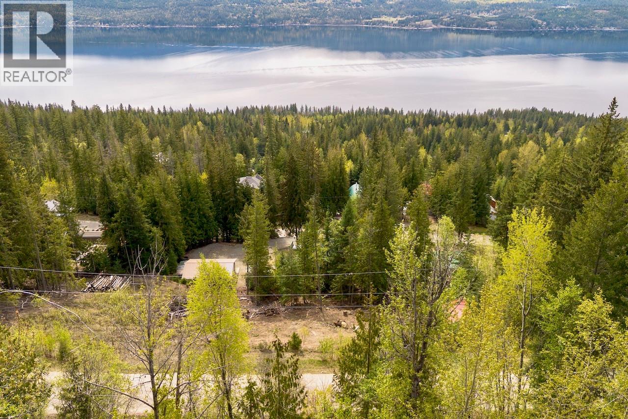 Castle Heights Lot# 68, Anglemont, British Columbia  V0E 1M8 - Photo 13 - 10384258