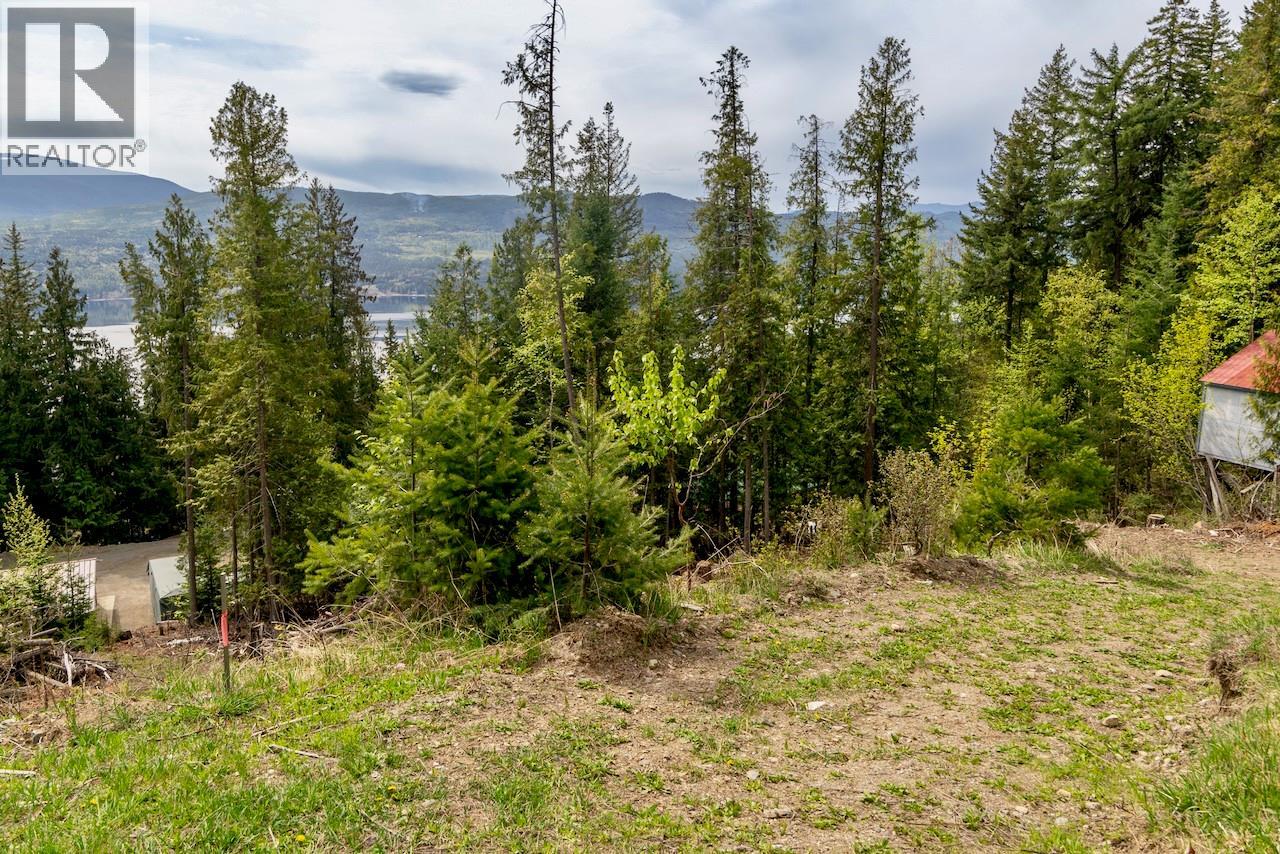 Castle Heights Lot# 68, Anglemont, British Columbia  V0E 1M8 - Photo 4 - 10384258